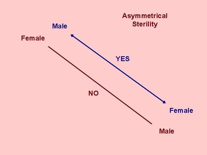 Asymmetrical Sterility Male Female YES NO Female Male 