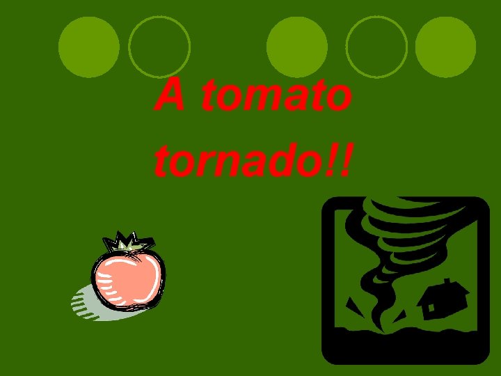 A tomato tornado!! 