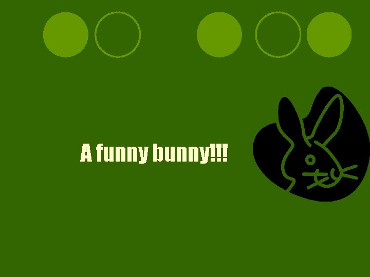 A funny bunny!!! 