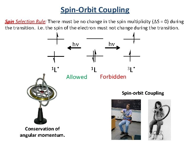 Spin-Orbit Coupling Spin Selection Rule: There must be no change in the spin multiplicity