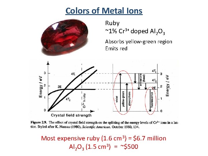 Colors of Metal Ions Ruby ~1% Cr 3+ doped Al 2 O 3 Absorbs