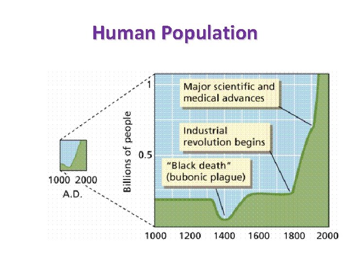 Human Population 