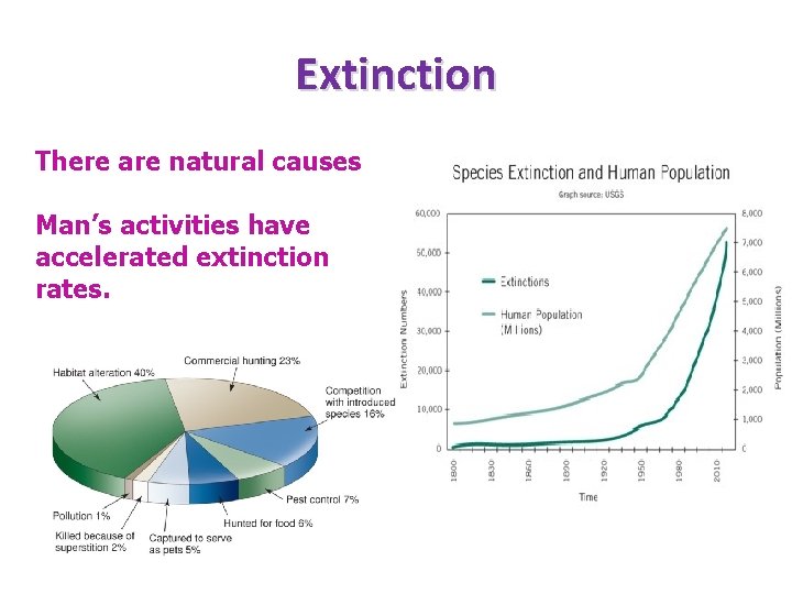 Extinction There are natural causes Man’s activities have accelerated extinction rates. 