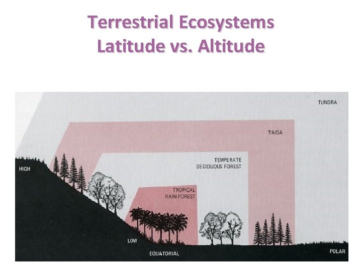 Terrestrial Ecosystems Latitude vs. Altitude 