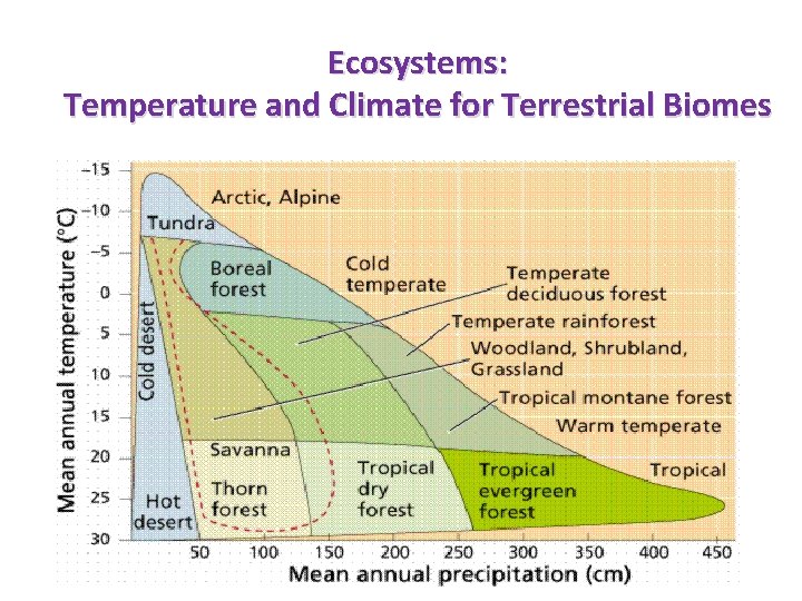 Ecosystems: Temperature and Climate for Terrestrial Biomes 