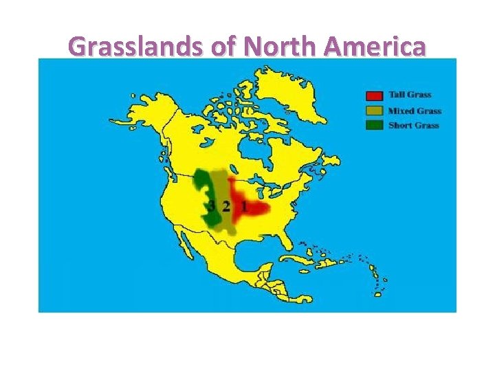 Grasslands of North America 
