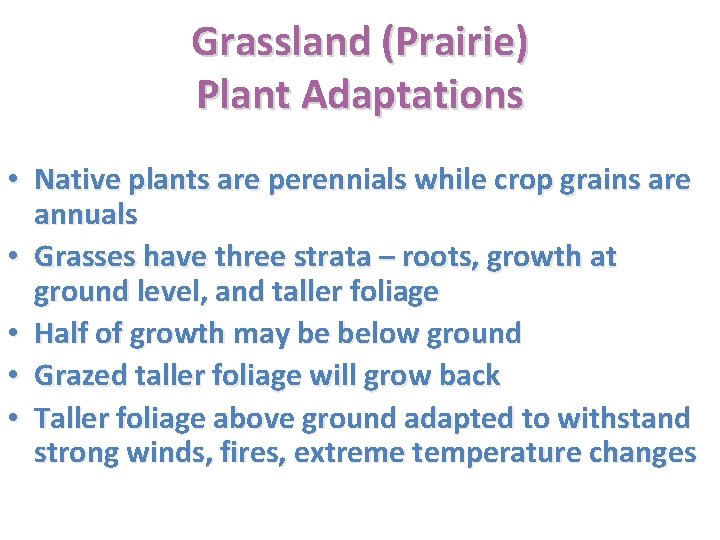 Grassland (Prairie) Plant Adaptations • Native plants are perennials while crop grains are annuals