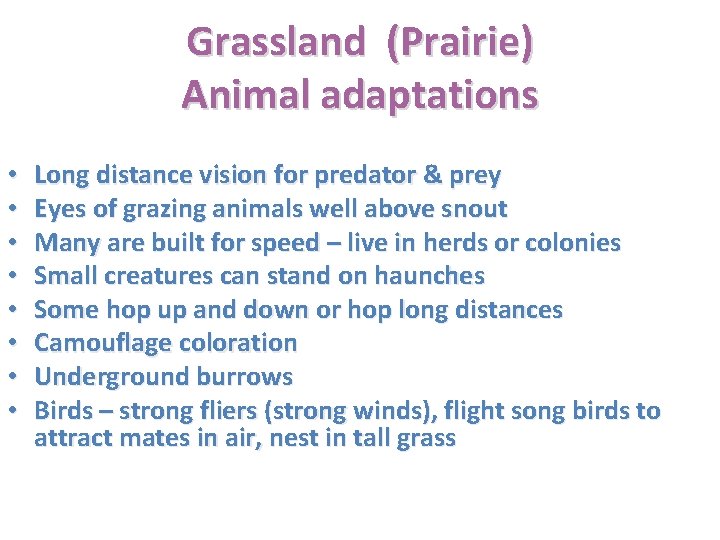 Grassland (Prairie) Animal adaptations • • Long distance vision for predator & prey Eyes