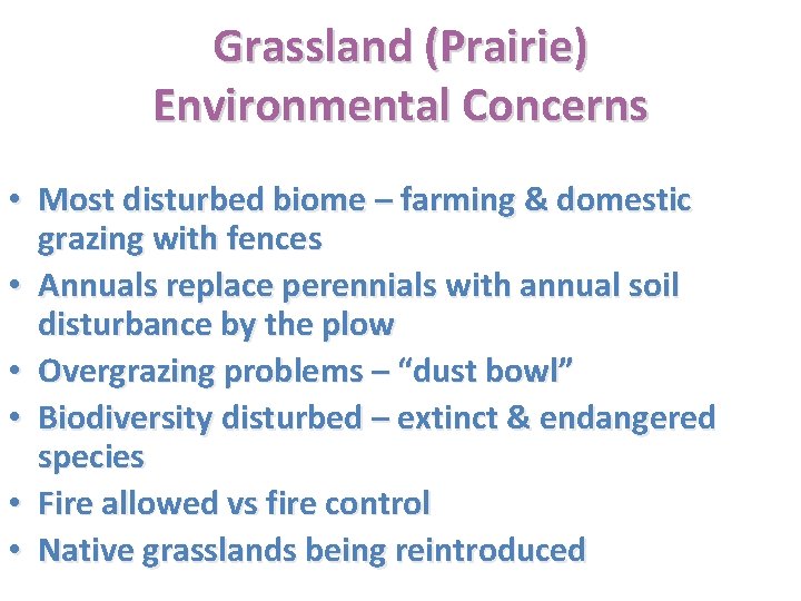 Grassland (Prairie) Environmental Concerns • Most disturbed biome – farming & domestic grazing with