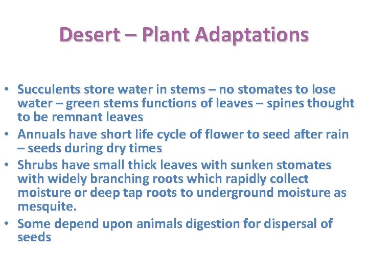 Desert – Plant Adaptations • Succulents store water in stems – no stomates to