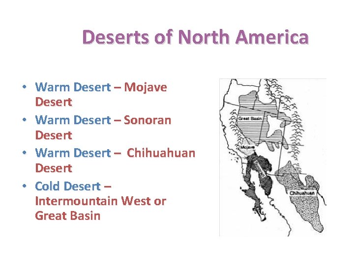 Deserts of North America • Warm Desert – Mojave Desert • Warm Desert –