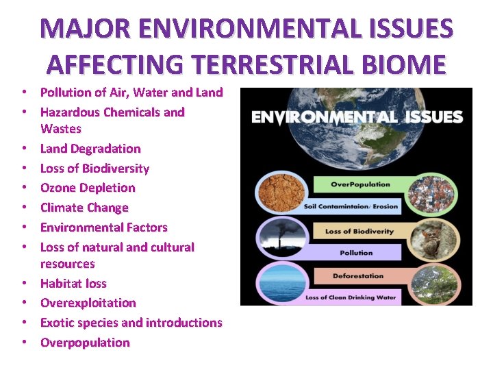 MAJOR ENVIRONMENTAL ISSUES AFFECTING TERRESTRIAL BIOME • Pollution of Air, Water and Land •