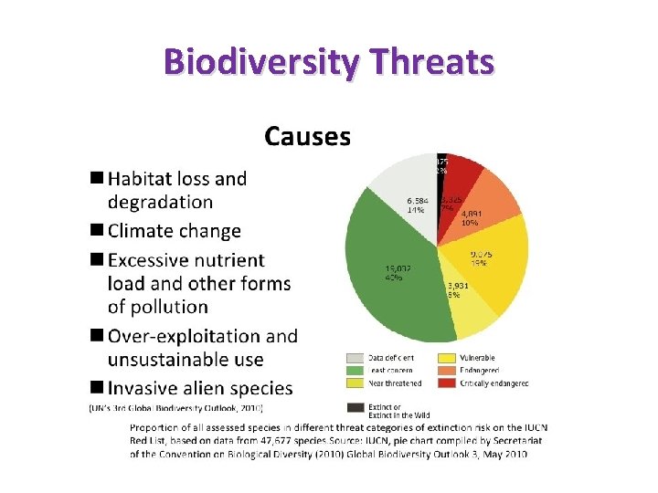 Biodiversity Threats 