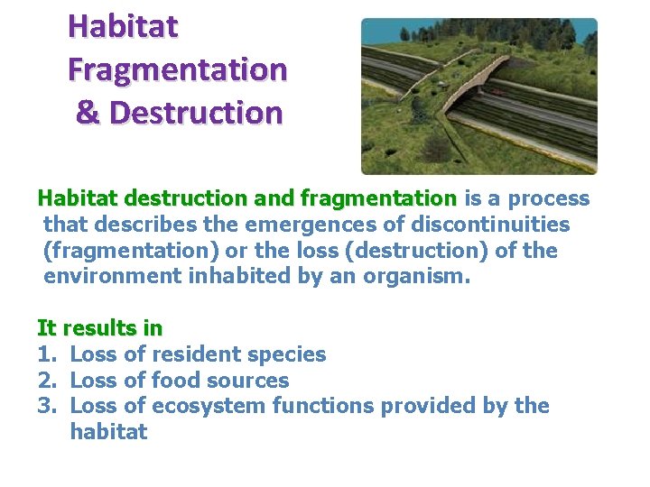 Habitat Fragmentation & Destruction Habitat destruction and fragmentation is a process Habitat destruction and