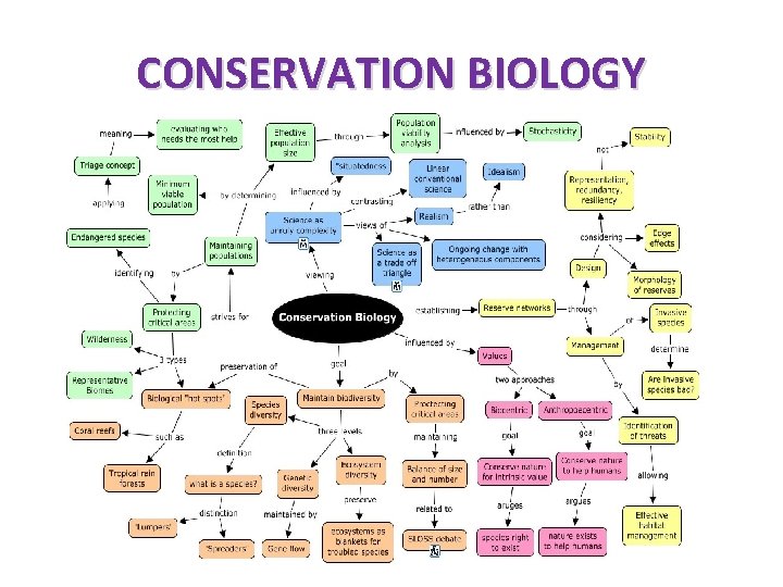 CONSERVATION BIOLOGY 