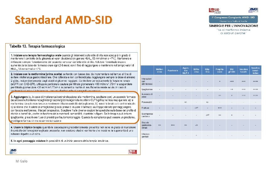 Standard AMD-SID M Gallo 