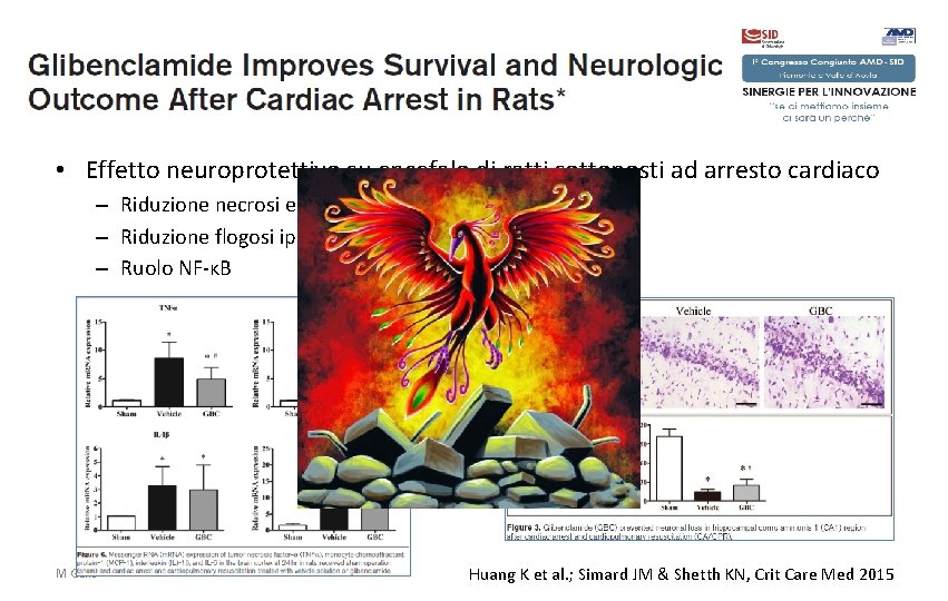  • Effetto neuroprotettivo su encefalo di ratti sottoposti ad arresto cardiaco – Riduzione