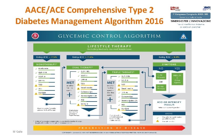 AACE/ACE Comprehensive Type 2 Diabetes Management Algorithm 2016 M Gallo 