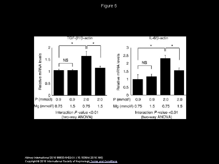 Figure 5 Kidney International 2015 88833 -842 DOI: (10. 1038/ki. 2015. 165) Copyright ©