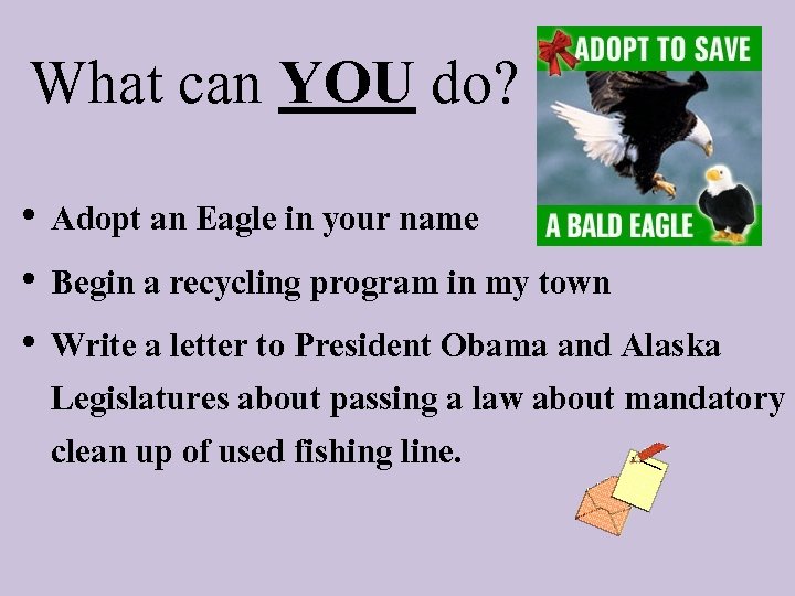 What can YOU do? • Adopt an Eagle in your name • Begin a