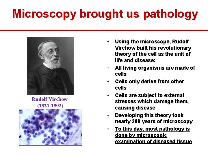 Microscopy brought us pathology • • • Rudolf Virchow (1821 -1902) • • •