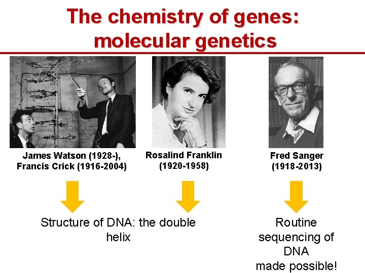 The chemistry of genes: molecular genetics James Watson (1928 -), Francis Crick (1916 -2004)