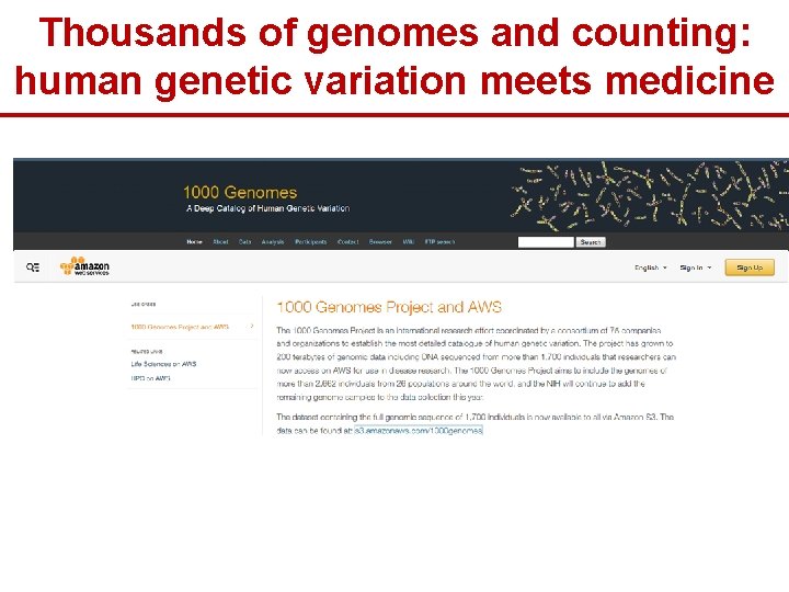 Thousands of genomes and counting: human genetic variation meets medicine 