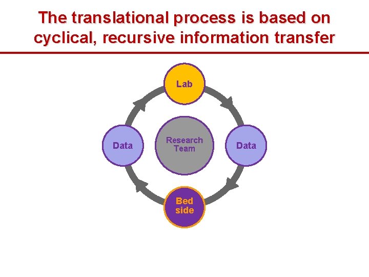 The translational process is based on cyclical, recursive information transfer Lab Data Research Team