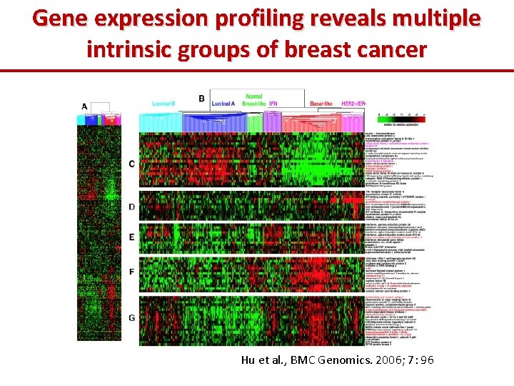 Gene expression profiling reveals multiple intrinsic groups of breast cancer Hu et al. ,