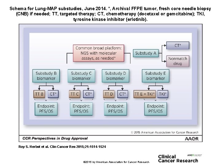 Schema for Lung-MAP substudies, June 2014. *, Archival FFPE tumor, fresh core needle biopsy