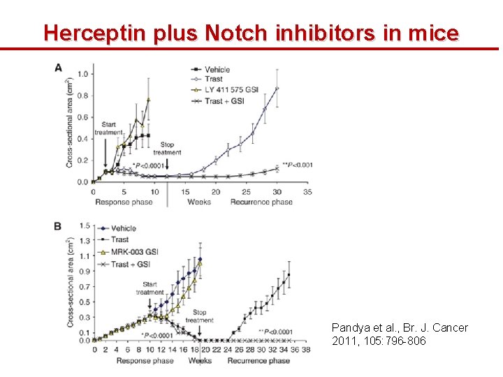 Herceptin plus Notch inhibitors in mice Pandya et al. , Br. J. Cancer 2011,