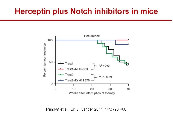 Herceptin plus Notch inhibitors in mice Pandya et al. , Br. J. Cancer 2011,