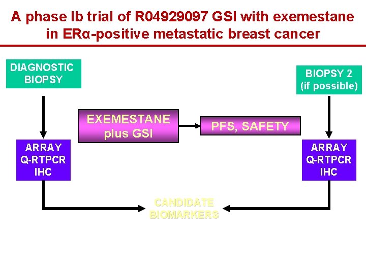A phase Ib trial of R 04929097 GSI with exemestane in ERα-positive metastatic breast