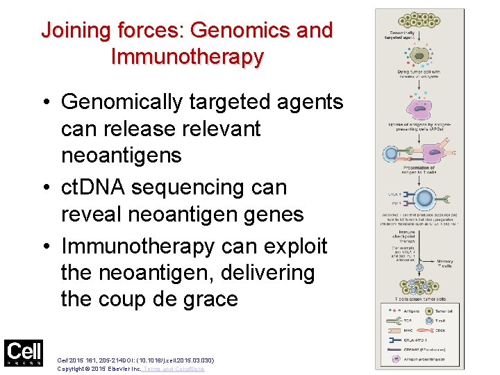 Figure 1 Joining forces: Genomics and Immunotherapy • Genomically targeted agents can release relevant