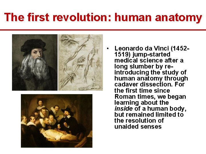 The first revolution: human anatomy • Leonardo da Vinci (14521519) jump-started medical science after