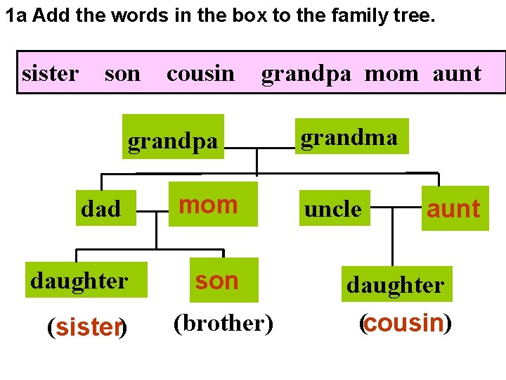 1 a Add the words in the box to the family tree. sister son