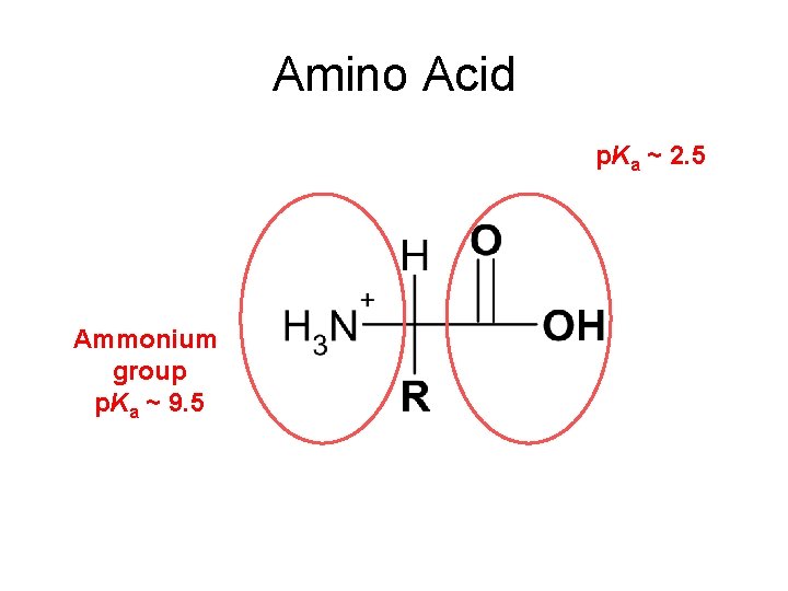 Amino Acid p. Ka ~ 2. 5 Ammonium group p. Ka ~ 9. 5