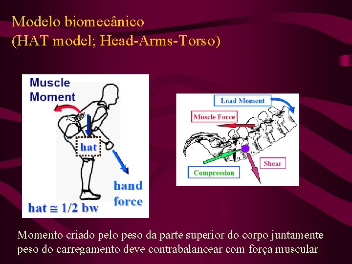 Modelo biomecânico (HAT model; Head-Arms-Torso) Momento criado pelo peso da parte superior do corpo