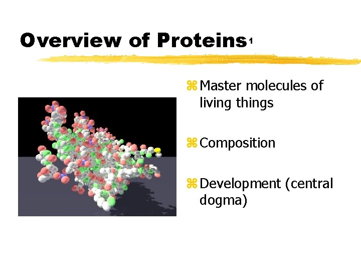 Overview of Proteins 1 z Master molecules of living things z Composition z Development