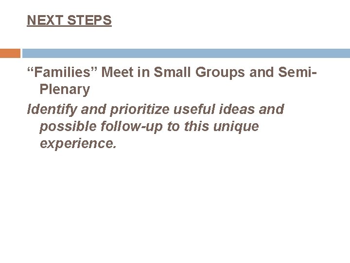 NEXT STEPS “Families” Meet in Small Groups and Semi. Plenary Identify and prioritize useful