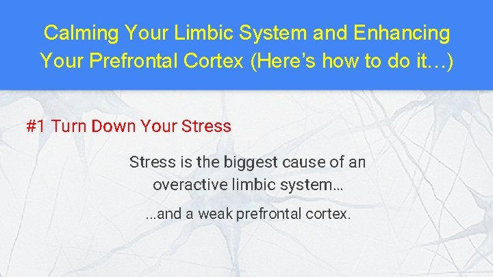 Calming Your Limbic System and Enhancing Your Prefrontal Cortex (Here’s how to do it…)