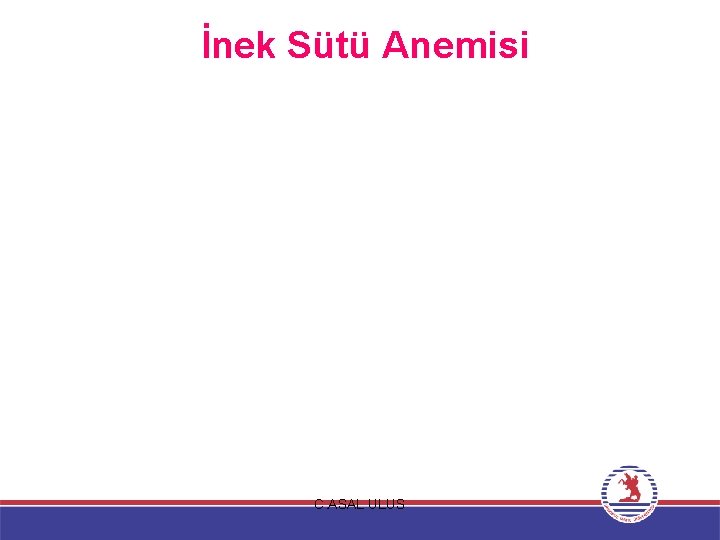 İnek Sütü Anemisi C. ASAL ULUS 