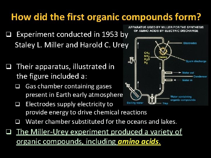 How did the first organic compounds form? q Experiment conducted in 1953 by Staley