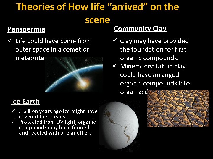 Theories of How life “arrived” on the scene Panspermia Community Clay ü Life could