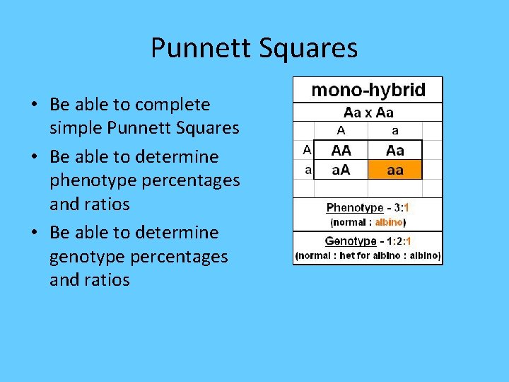 Punnett Squares • Be able to complete simple Punnett Squares • Be able to