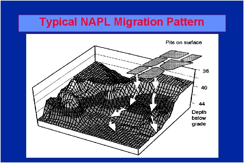 Typical NAPL Migration Pattern 