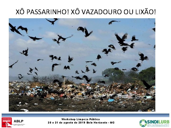 XÔ PASSARINHO! XÔ VAZADOURO OU LIXÃO! 10 Workshop Limpeza Pública 20 e 21 de