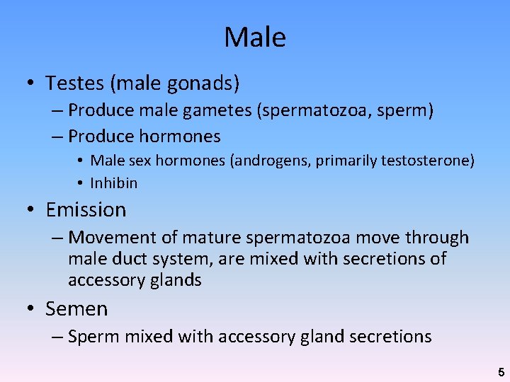 Chapter 28 The Reproductive System BIO 211 Lecture