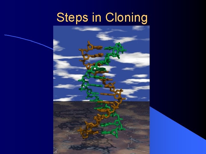 Steps in Cloning 