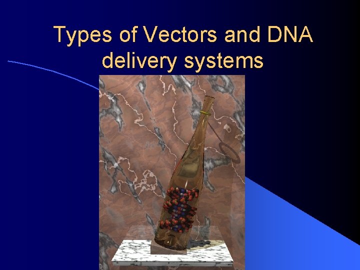 Types of Vectors and DNA delivery systems 